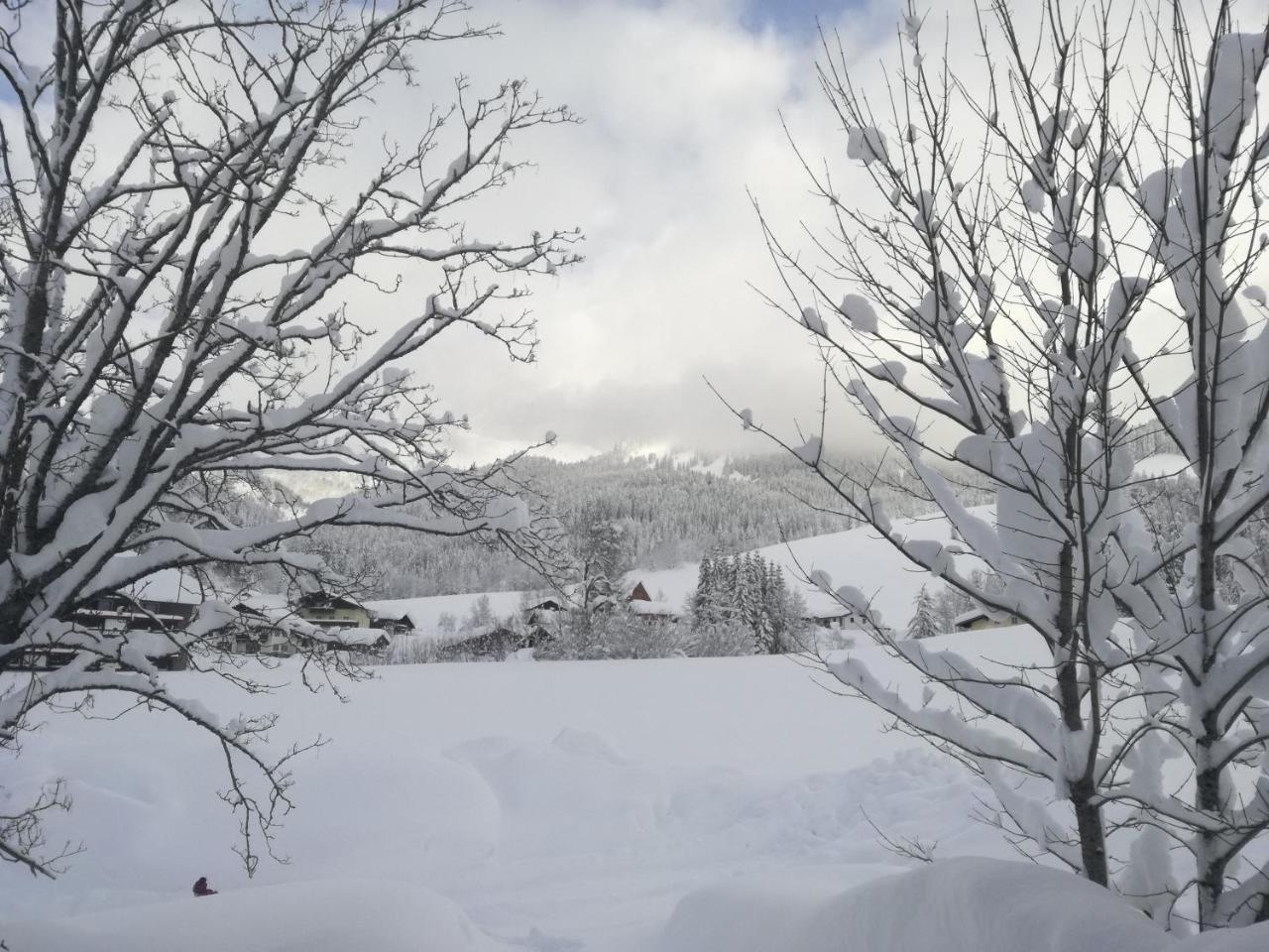 Hoellhof Dachstein West Russbach am Pass Gschuett Exterior photo